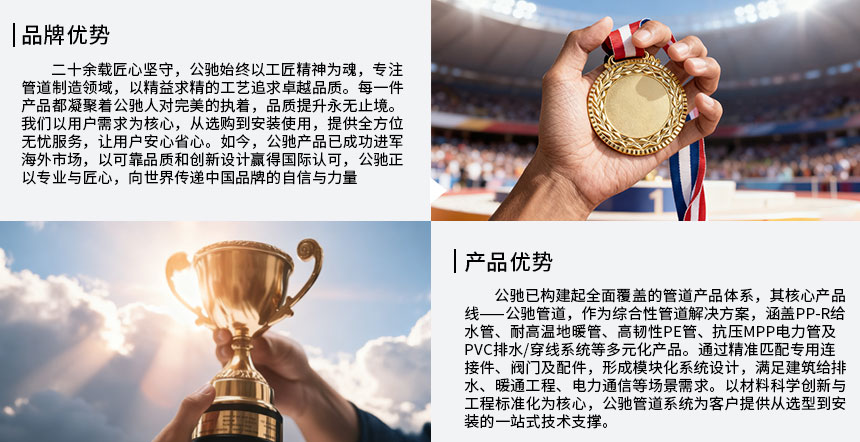 1769906939974444.jpg 3實(shí)力.jpg